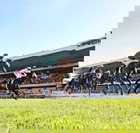 Rosehill Gardens Racecourse - Attractions Melbourne