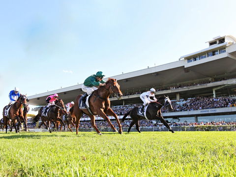 Rosehill Gardens Racecourse - Attractions Melbourne 0