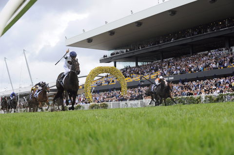 Rosehill Gardens Racecourse - Attractions Melbourne 1