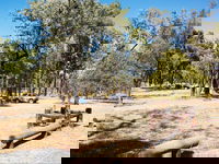 Salvator Rosa Carnarvon National Park