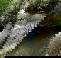 Second Ponds Creek Walk - Attractions Melbourne