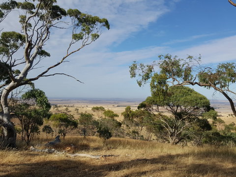 Spring Gully Conservation Park - Attractions Melbourne 1