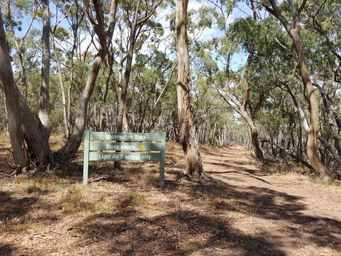 Spring Gully Conservation Park - Attractions Melbourne 2
