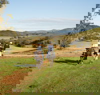 Tamworth and Kootingal Horse Riding Adventures - Attractions Melbourne