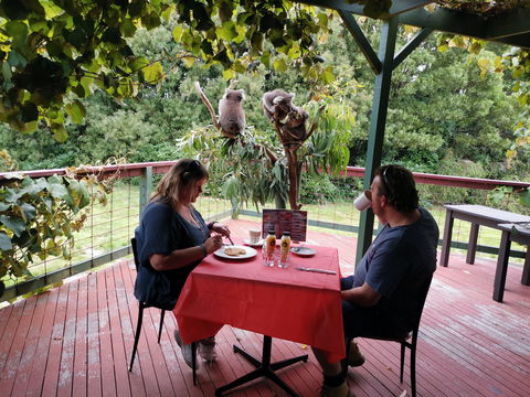 The Aussie Stop Offering Breakfast With Koalas - Attractions Melbourne 0