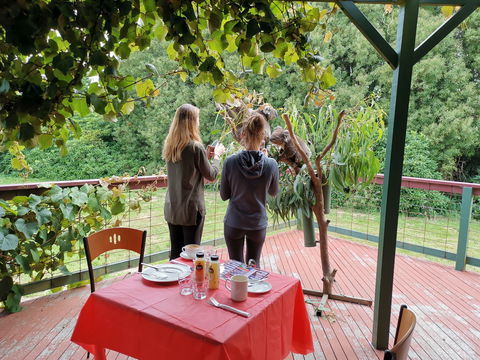 The Aussie Stop Offering Breakfast With Koalas - Attractions Melbourne 2