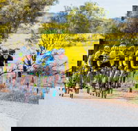 The Heron's Highway - Avon River Cycle Trail - Attractions Melbourne