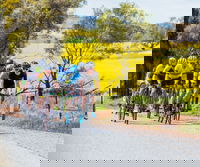 The Heron's Highway - Avon River Cycle Trail