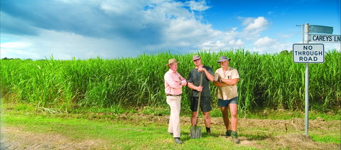 The Shed Gallery - Attractions Melbourne 0