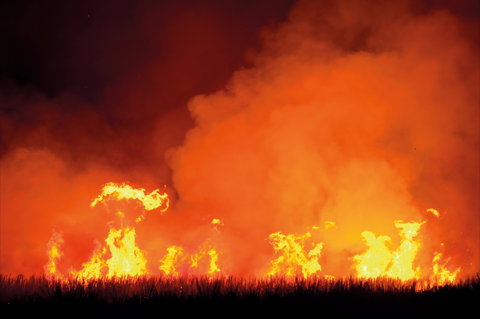 The Shed Gallery - Attractions Melbourne 1