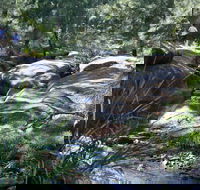 Towarri National Park - Attractions Melbourne