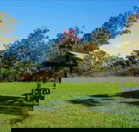 Tunks Hill picnic area - Attractions Melbourne