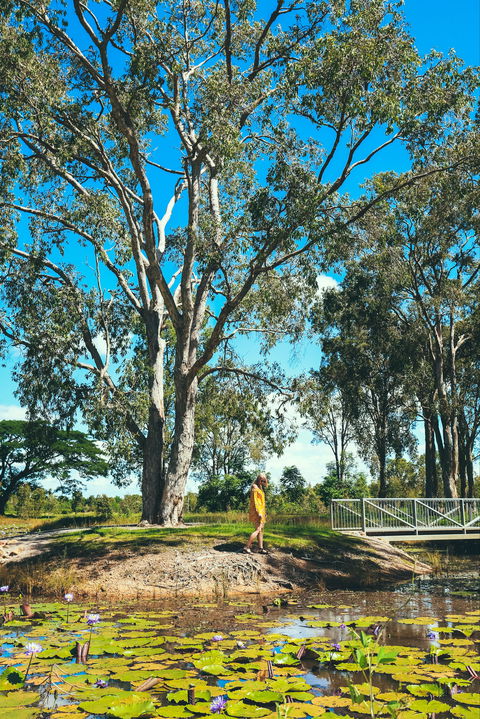 TYTO Wetlands - Attractions Melbourne 1