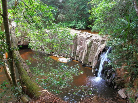 Waitui Falls - Attractions Melbourne 0