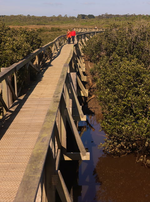 Warringine Park & Bittern Coastal Wetlands Boardwalk - Attractions Melbourne 0