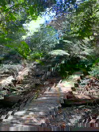 Book Toolangi Accommodation Vacations Attractions Melbourne Attractions Melbourne