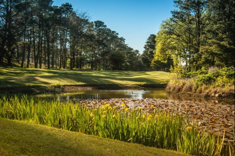 Yowani Country Club Incorporated - Attractions Melbourne 2