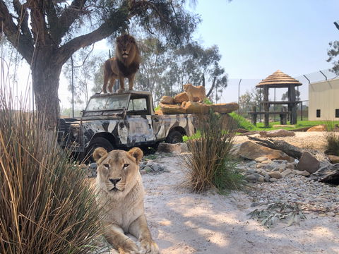 Zambi Wildlife Retreat - Attractions Melbourne 0