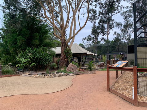 Zambi Wildlife Retreat - Attractions Melbourne 2