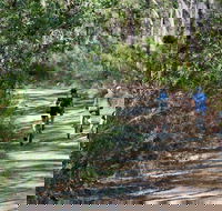 Andersons Trail - Attractions Melbourne