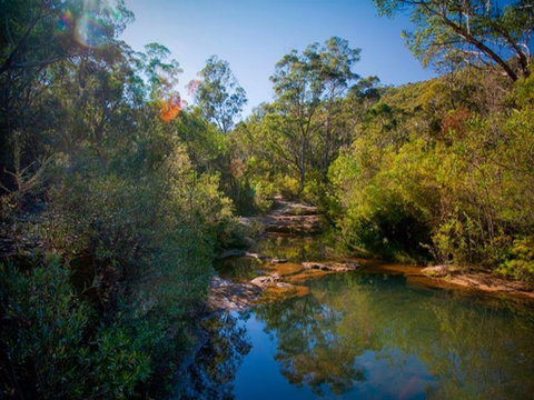 Bargo State Conservation Area - Attractions Melbourne 0