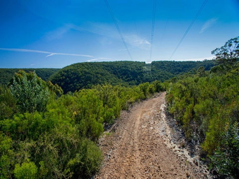 Bargo State Conservation Area - Attractions Melbourne 1
