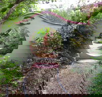 Black Dragon Gardens Wulong Yuan - Attractions Melbourne