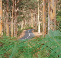 Boranup Karri Forest - Attractions Melbourne