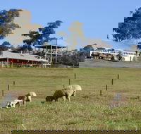 Calmsley Hill City Farm - Attractions Melbourne