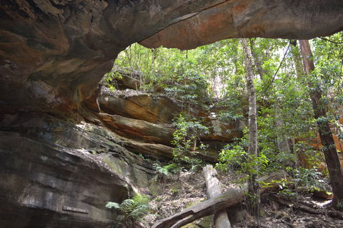 Cave Creek Walking Track - Attractions Melbourne 0