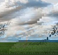 Clare Valley - Attractions Melbourne