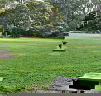 Cottonwood Glen Picnic Area - Attractions Melbourne