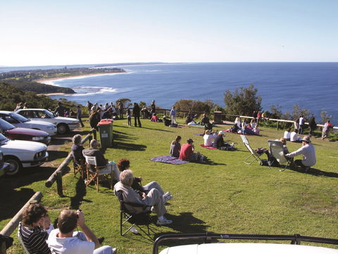 Crackneck Point Lookout - Attractions Melbourne 0