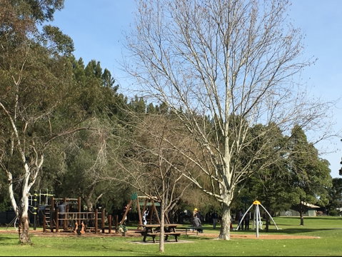 Curry Reserve - Attractions Melbourne 1