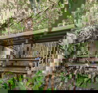 Daisy Hill Koala Centre - Attractions Melbourne