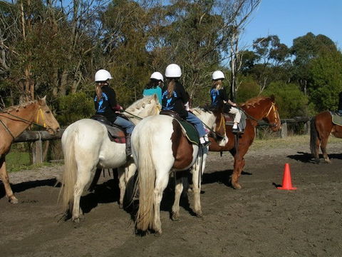 Darkes Forest Riding Ranch - Attractions Melbourne 1