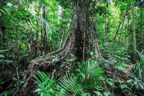 Djiru National Park - Attractions Melbourne 0