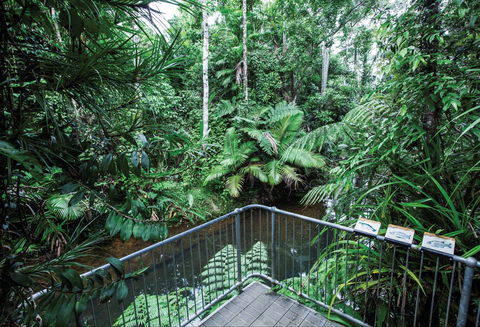 Djiru National Park - Attractions Melbourne 1