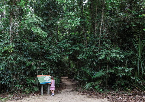 Djiru National Park - Attractions Melbourne 2