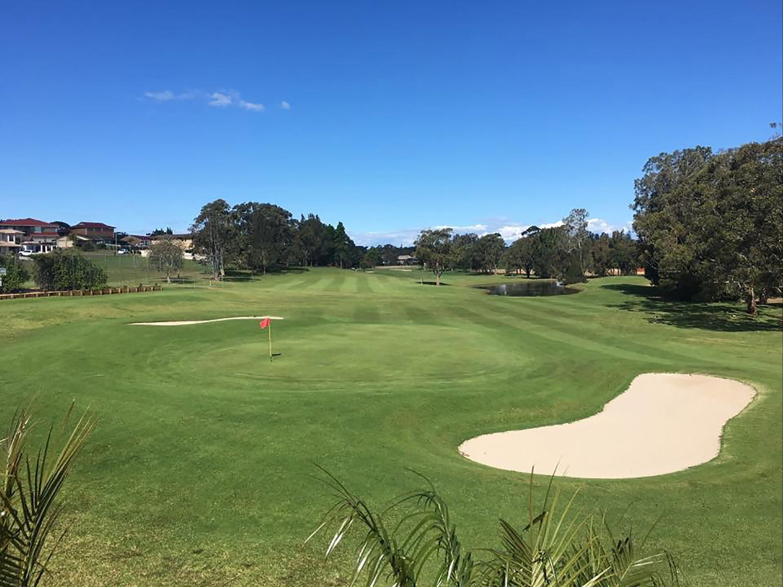 Port Macquarie NSW Attractions Melbourne