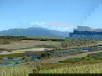Eubenangee Swamp National Park