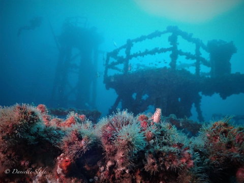 Ex HMAS Adelaide - Attractions Melbourne 0