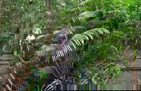 Falls walking track