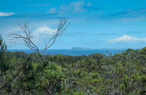 Forest Walking Track, Crowdy Bay National Park - Attractions Melbourne 0