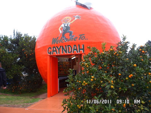 Gayndah's Big Orange - Attractions Melbourne 2