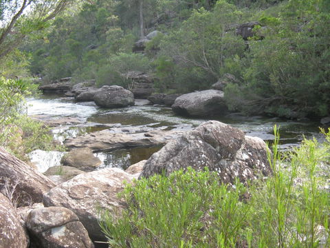 Georges River Nature Reserve - Attractions Melbourne 1