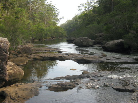 Georges River Nature Reserve - Attractions Melbourne 2