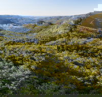 Gold Coast Hinterland Great Walk - Attractions Melbourne