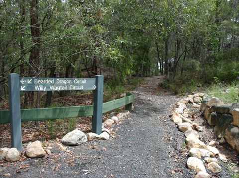 Haig Street Quarry Bushland Reserve Trails - Attractions Melbourne 1