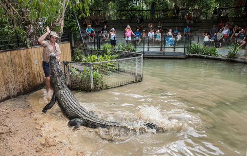 Hartley's Crocodile Adventures - Attractions Melbourne 0